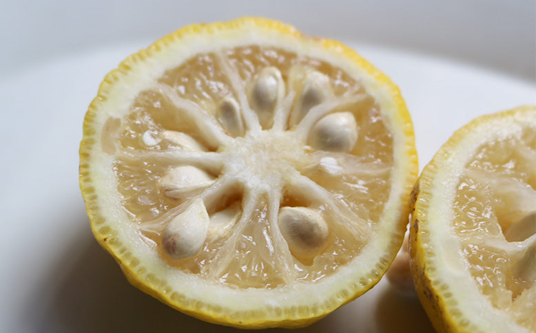 ［丸正酢醸造元］ちゃんぽんず