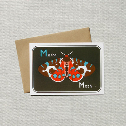 Moth