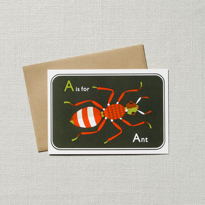 Ant