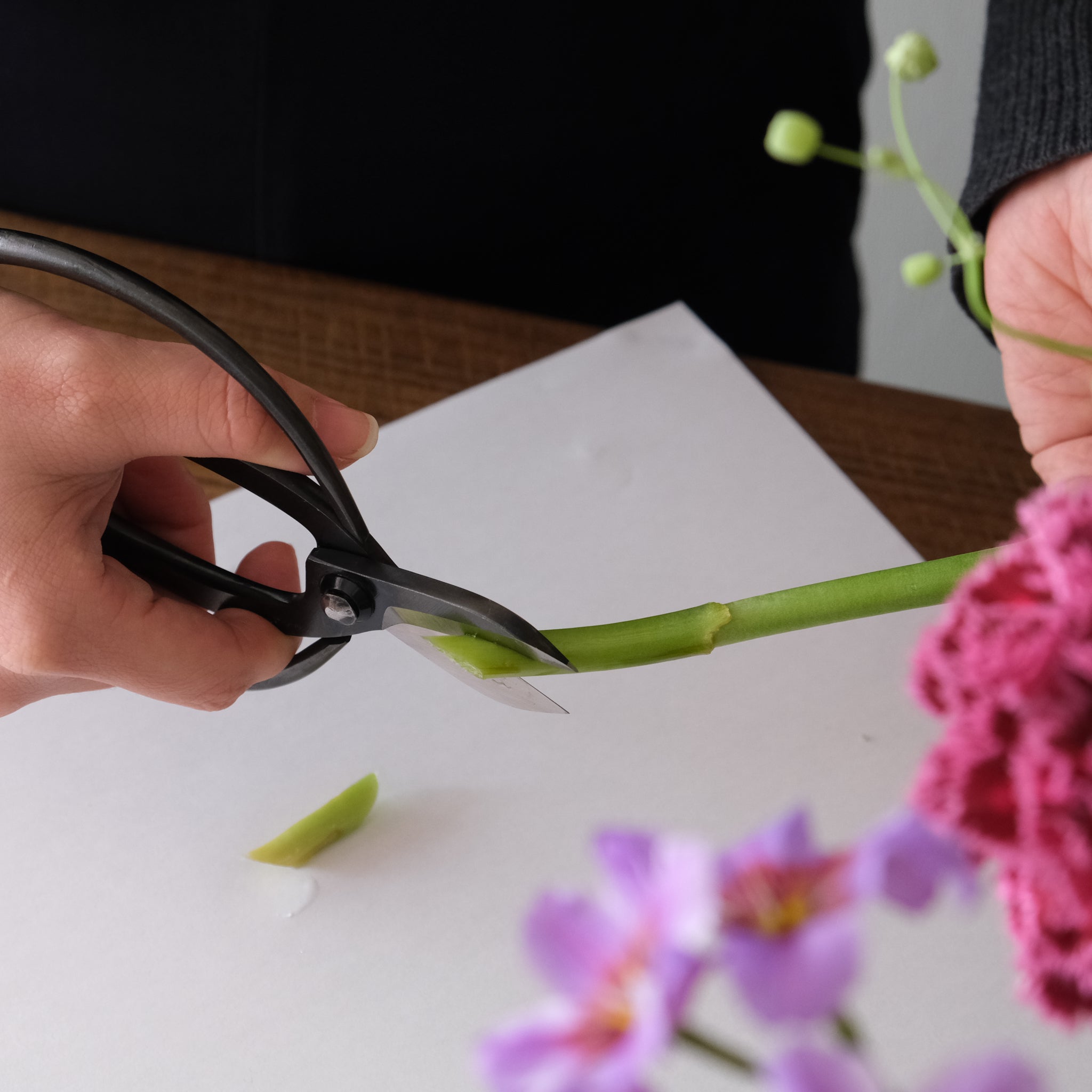 吉實］花鋏 – Envelope - エンベロープオンラインショップ