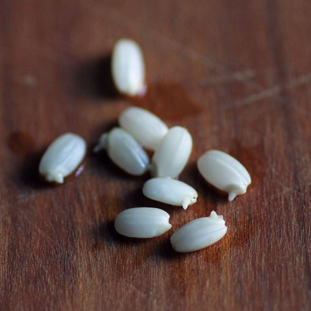 【生産者直送便】［まるざ発芽玄米研究所］発芽玄米の鳥居餅（8個入）