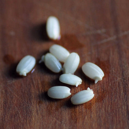 【生産者直送便】［まるざ発芽玄米研究所］発芽玄米の鳥居餅（8個入）