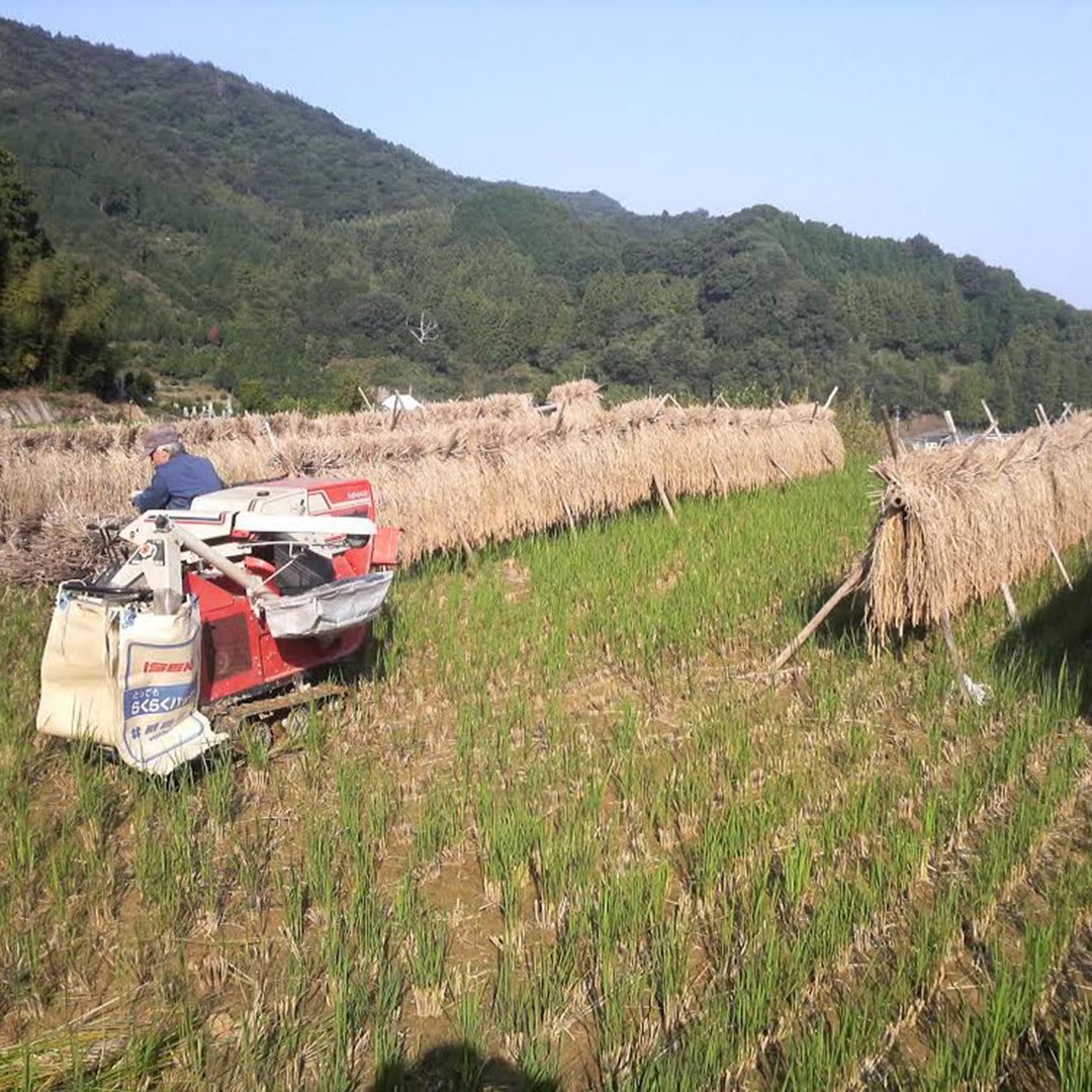 【生産者直送便】［まるざ発芽玄米研究所］発芽玄米の鳥居餅（8個入）