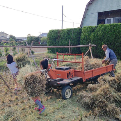 【生産者直送便】［まるざ発芽玄米研究所］発芽玄米の鳥居餅（8個入）