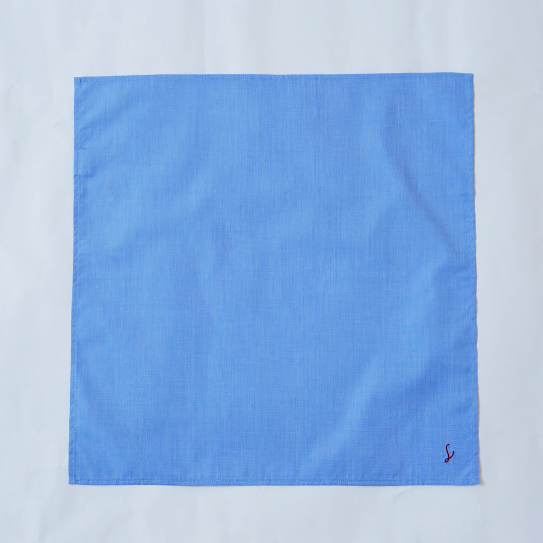 ブル・ピンチェック