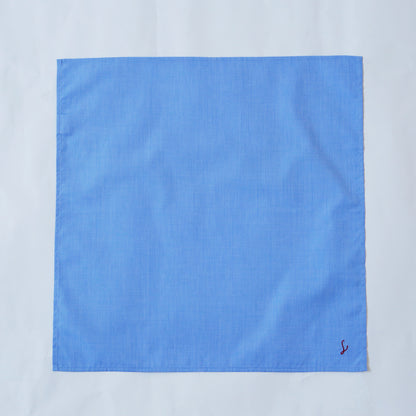 ブル・ピンチェック