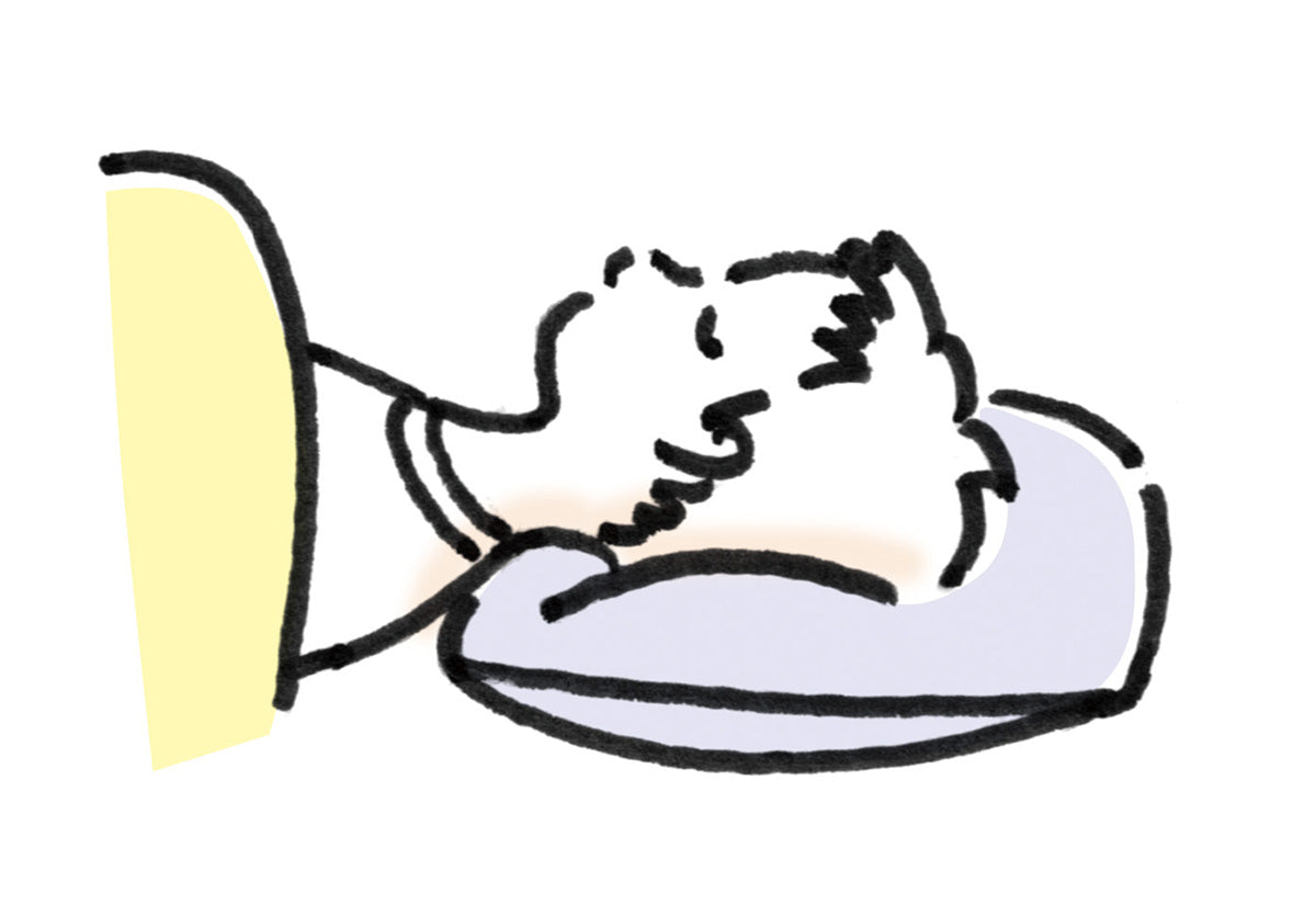 TLB HOME ダウンヌードピロー